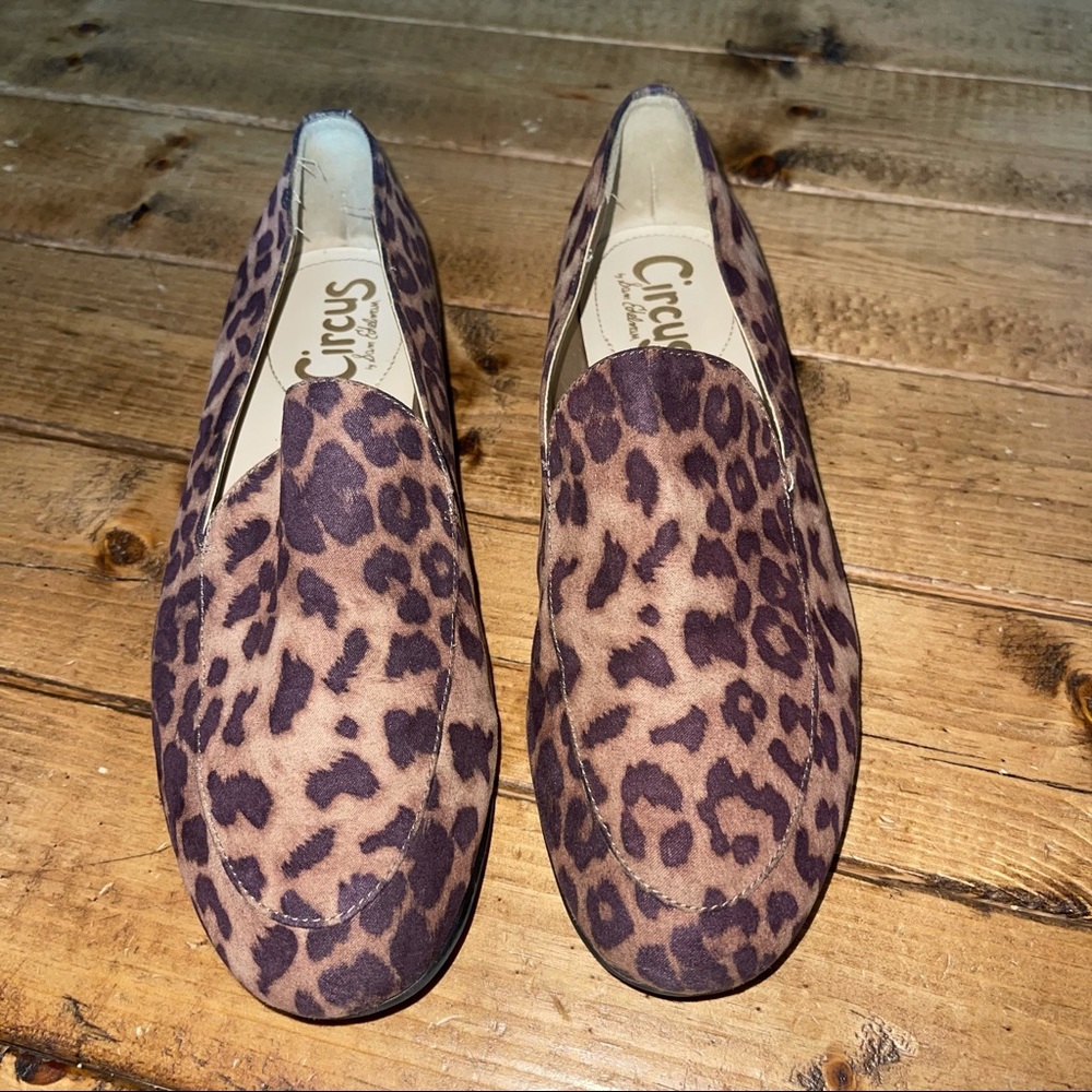 Circus Sam Edelman Harlem Leopard Print Loafer 7.5
